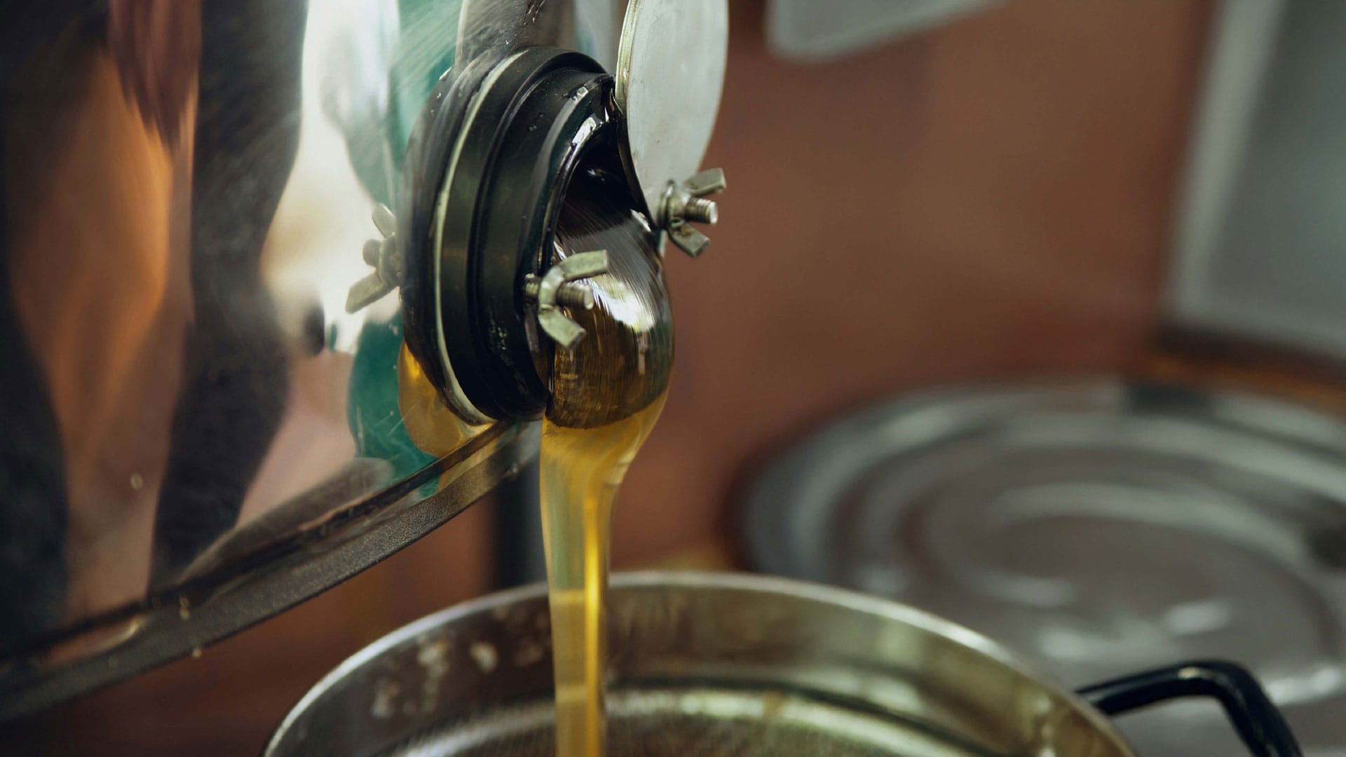 Signs Your Frying Oil Needs Changing or Testing